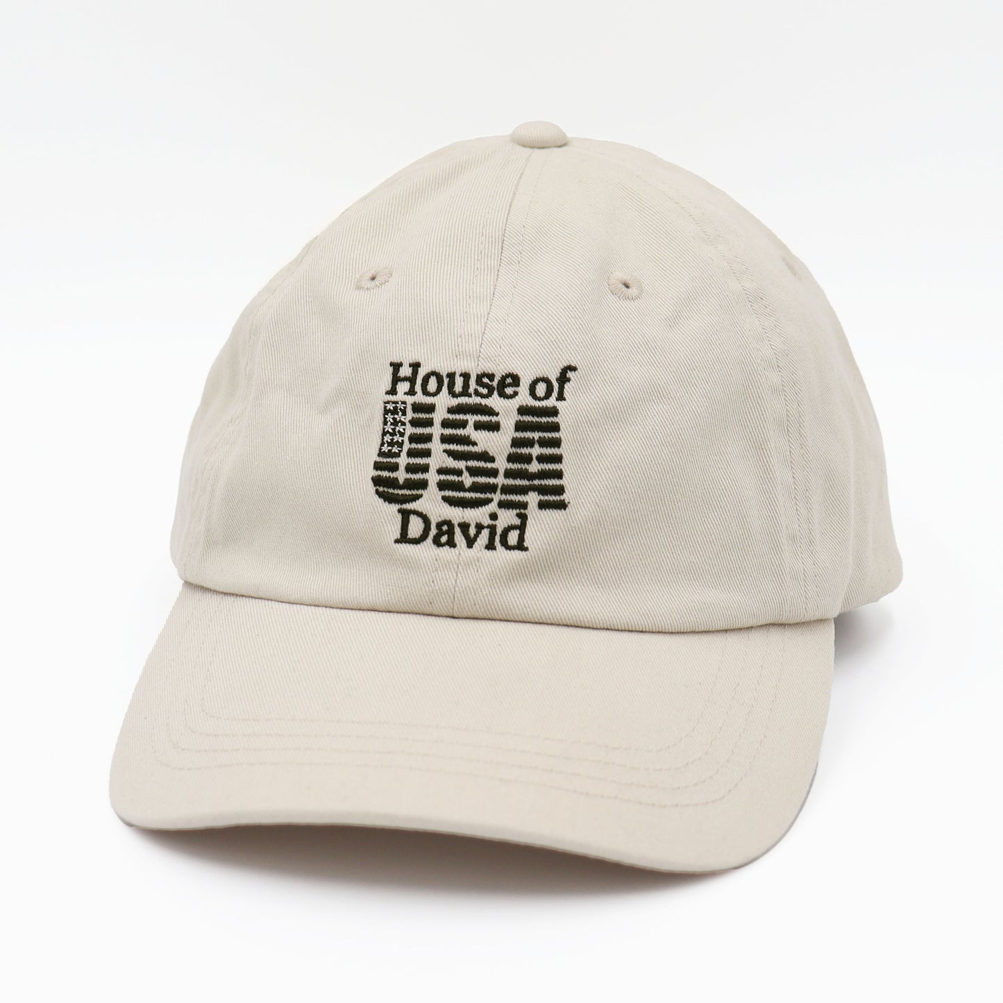 TAMANIWA×NEGRO LEAGUE : TN-06 USA OLD CAP