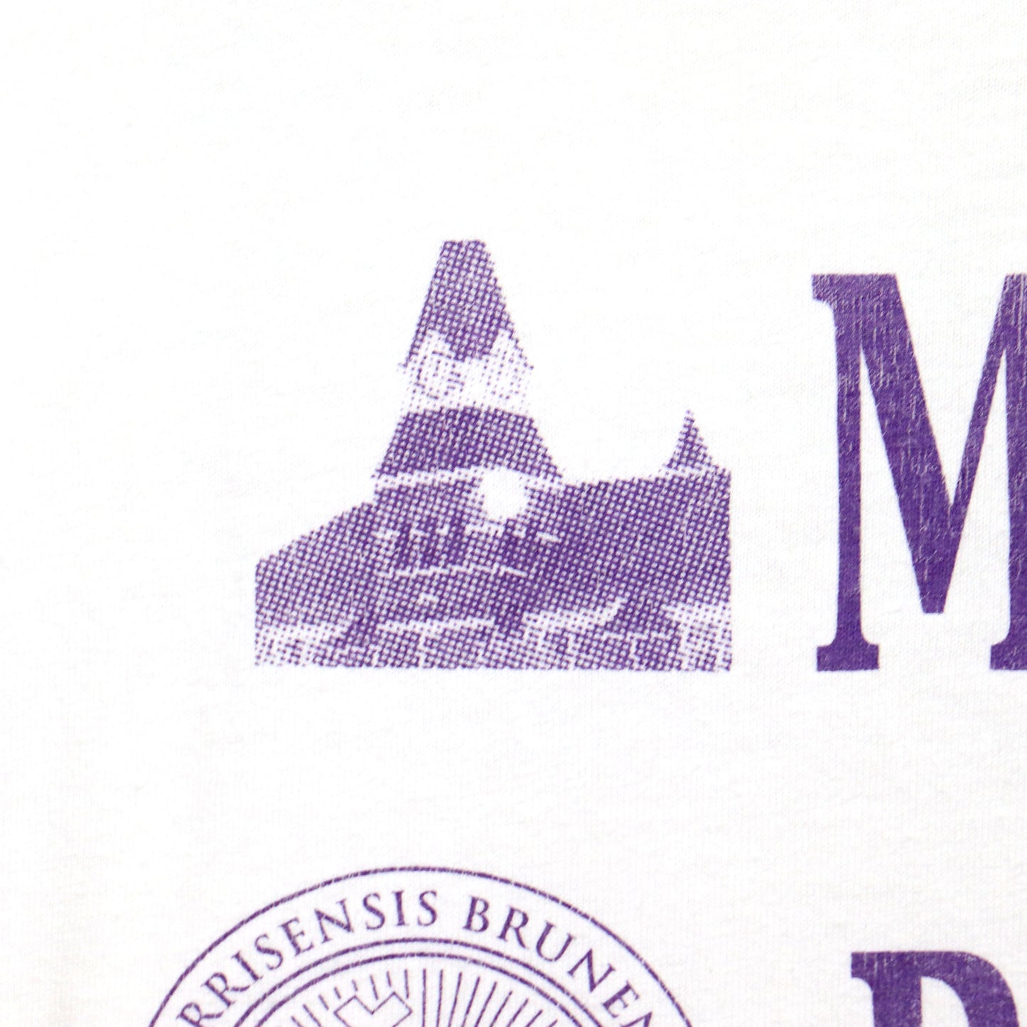 used : (FOTL)Morris Brown College Tee