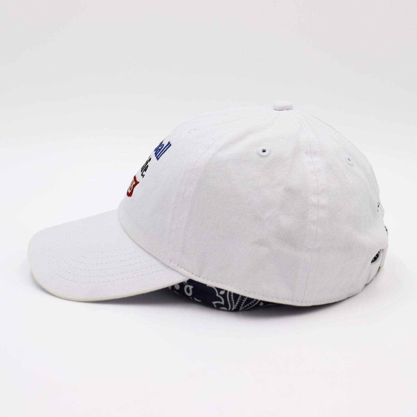 TAMANIWA:「さよならはスローボールで」Baseball is Life Cap