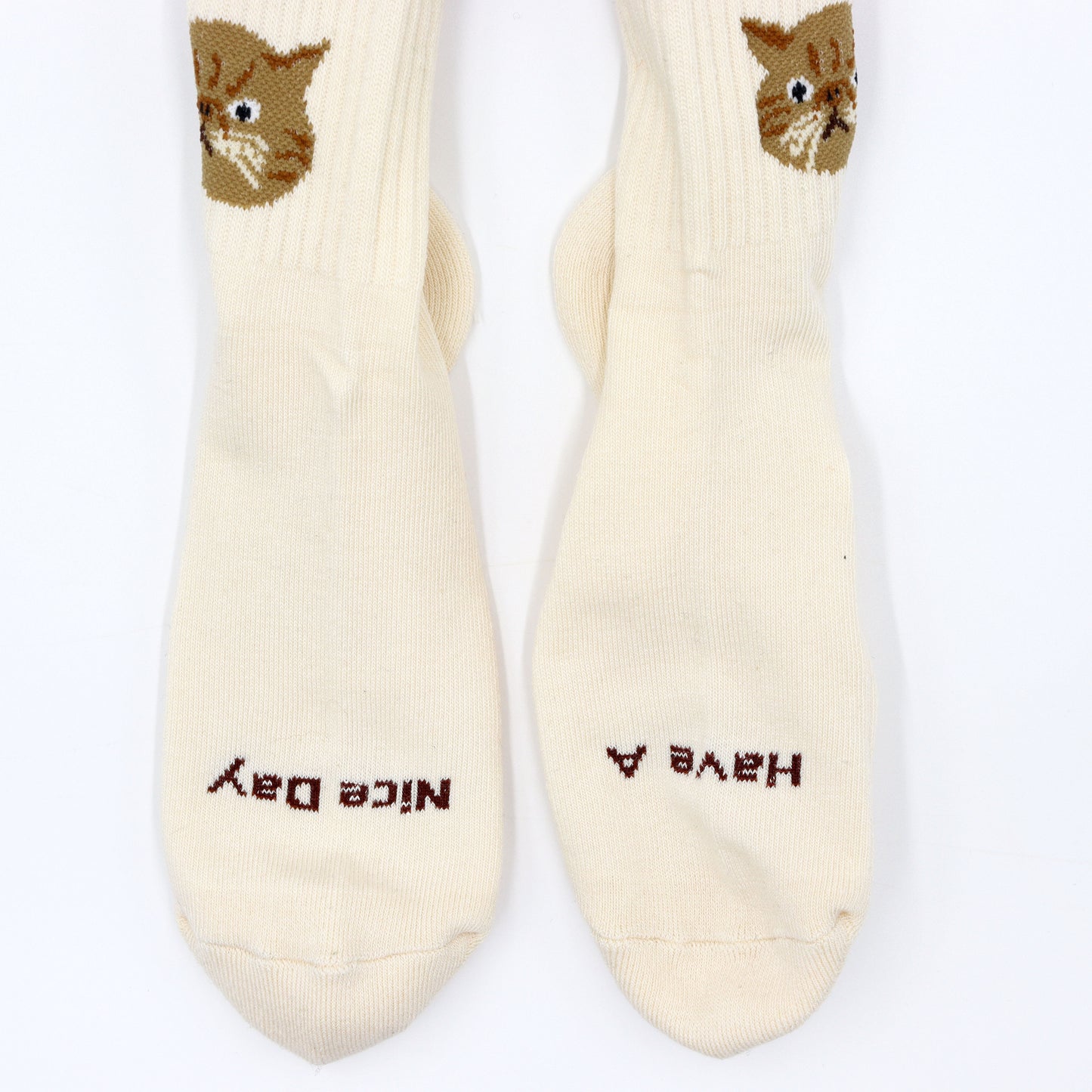 ROSTER SOX: RS-390 CAT