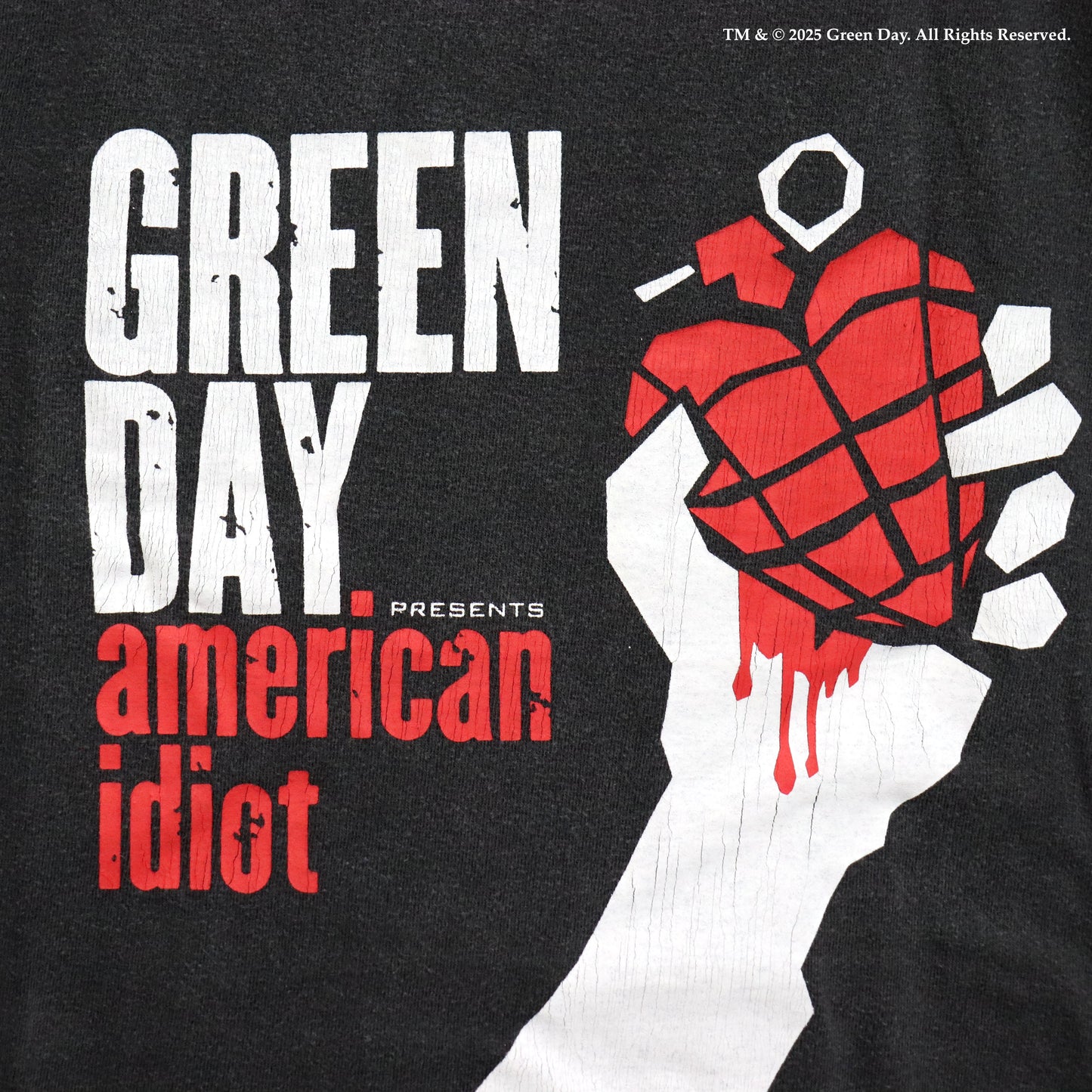GOOD ROCK SPEED: GREEN DAY | AMERICAN IDIOT S/S TEE