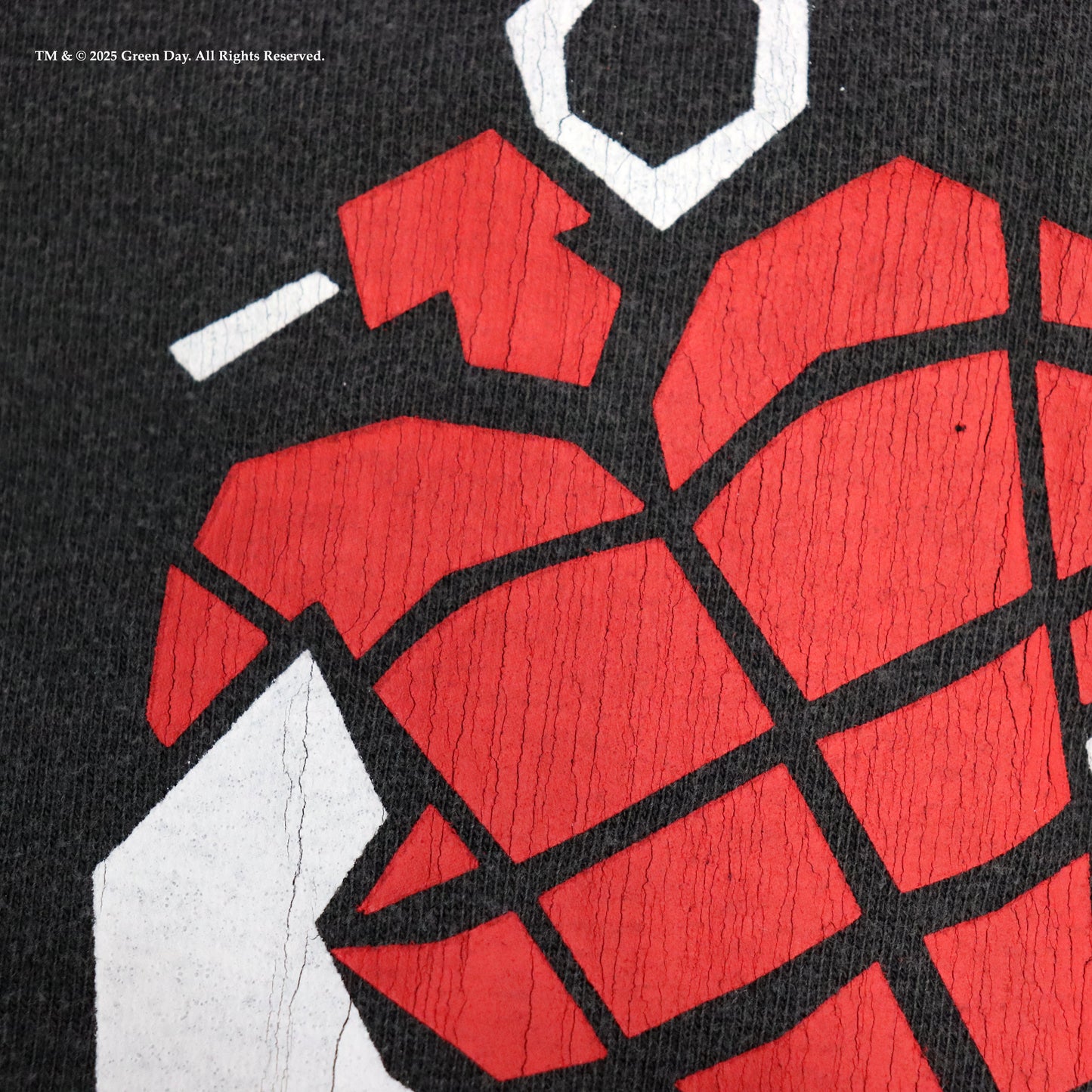 GOOD ROCK SPEED: GREEN DAY | AMERICAN IDIOT S/S TEE