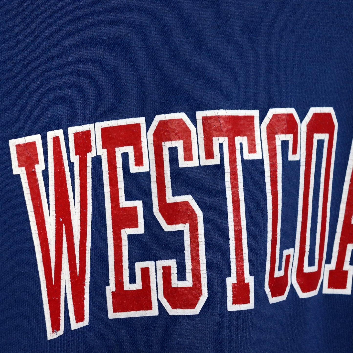 COPYCAT : (Jerzees) "North Georgia" L/S Sweat - Blue×Red