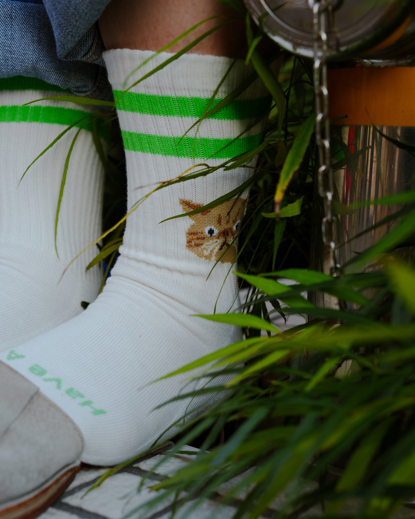 ROSTER SOX:RS-490 CAT