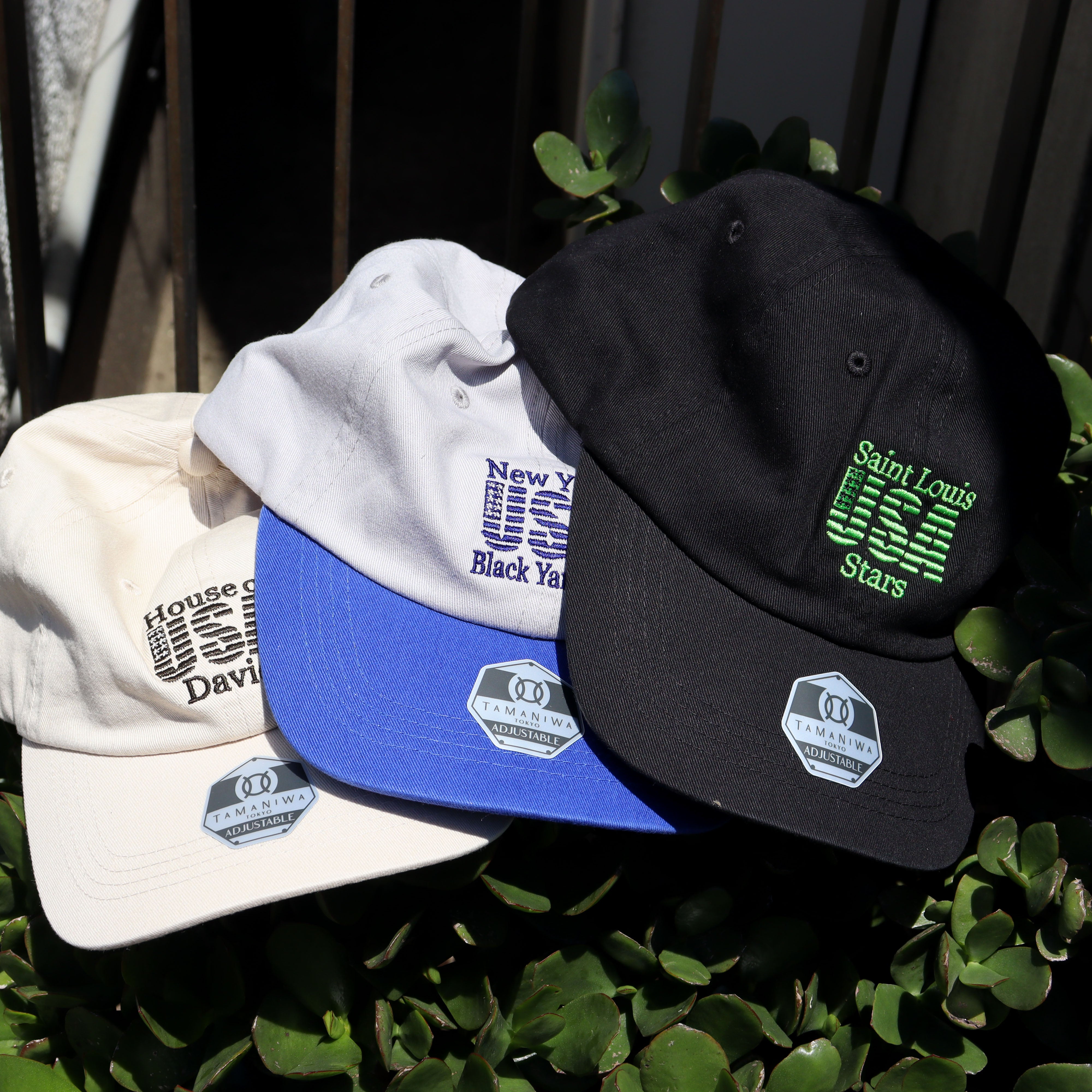 TAMANIWA：TMNW-85 OLD CAP セット売り！ TAMANIWA：TMNW-85 OLD CAP セット売り！ - メルカリ
