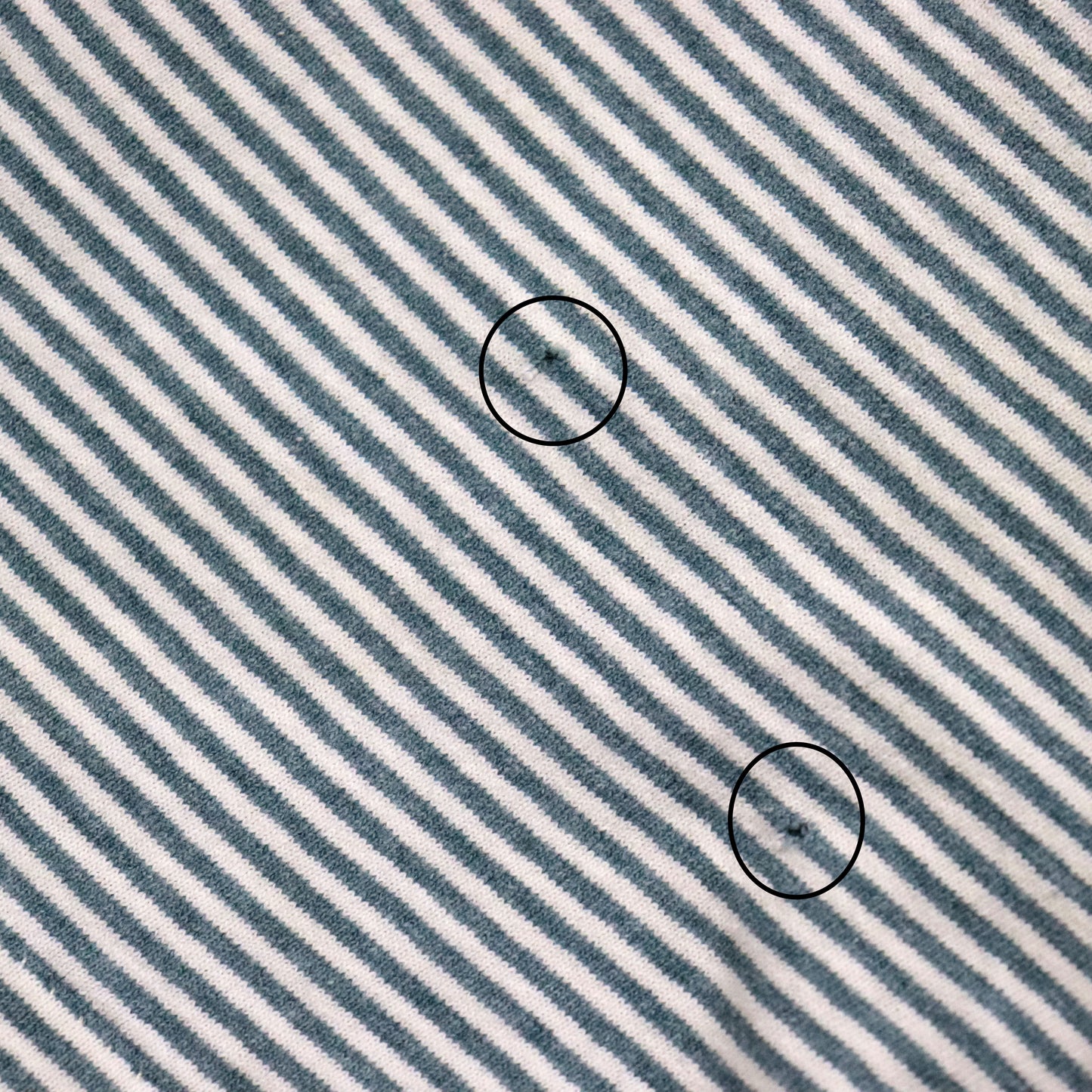 COPYCAT : Northern Georgia Border S/S Tee