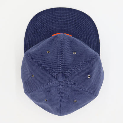 POTEN： PTN-2517 Dye Corduroy