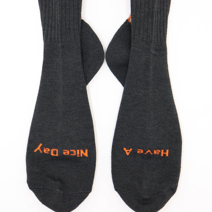 ROSTER SOX： RS-491 HOME RUN