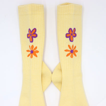 ROSTER SOX: RS-485 DE LA