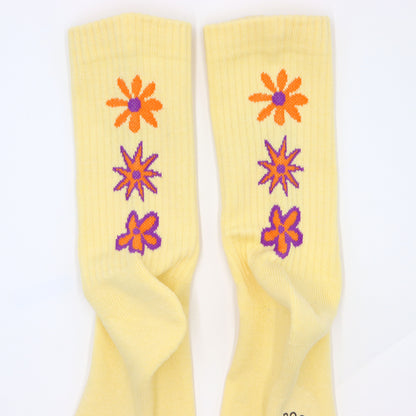 ROSTER SOX: RS-485 DE LA