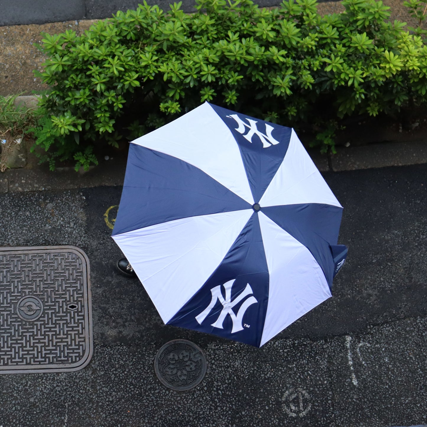 WinCaft : MLB Team Umbrella - NY Yankees