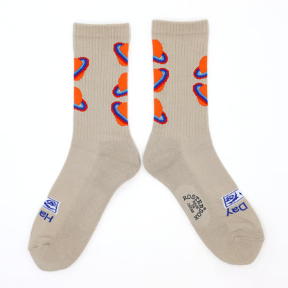 ROSTER SOX: RS-484 GALAXY