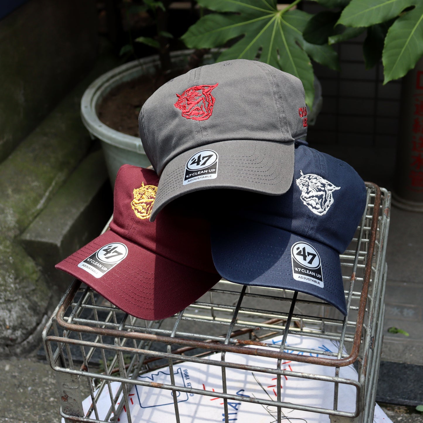 OC×Ame : Leopards Cap