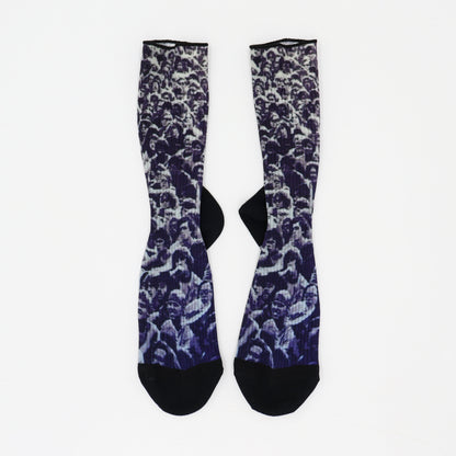 ROSTER SOX： RS-407(RS-446) WS