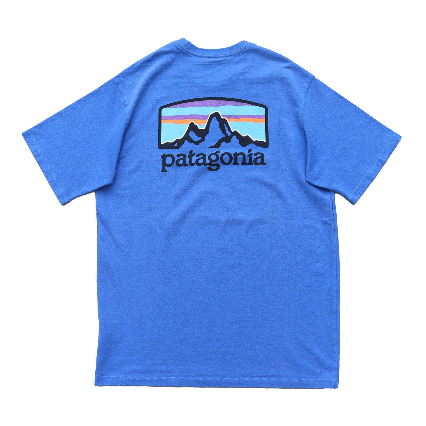 used : (Patagonia) Responsibili-Tee [BLUE]